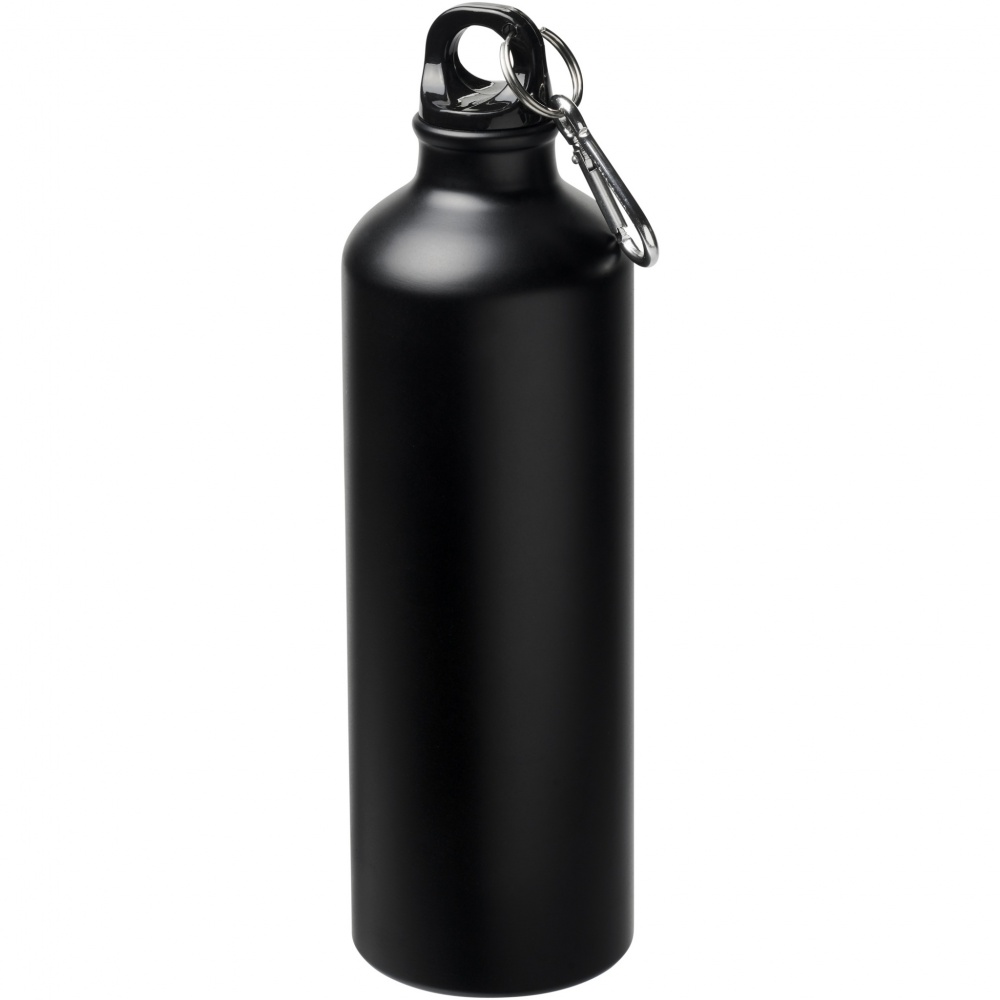 Logotrade promotional product image of: Oregon 770 ml matte water bottle with carabiner