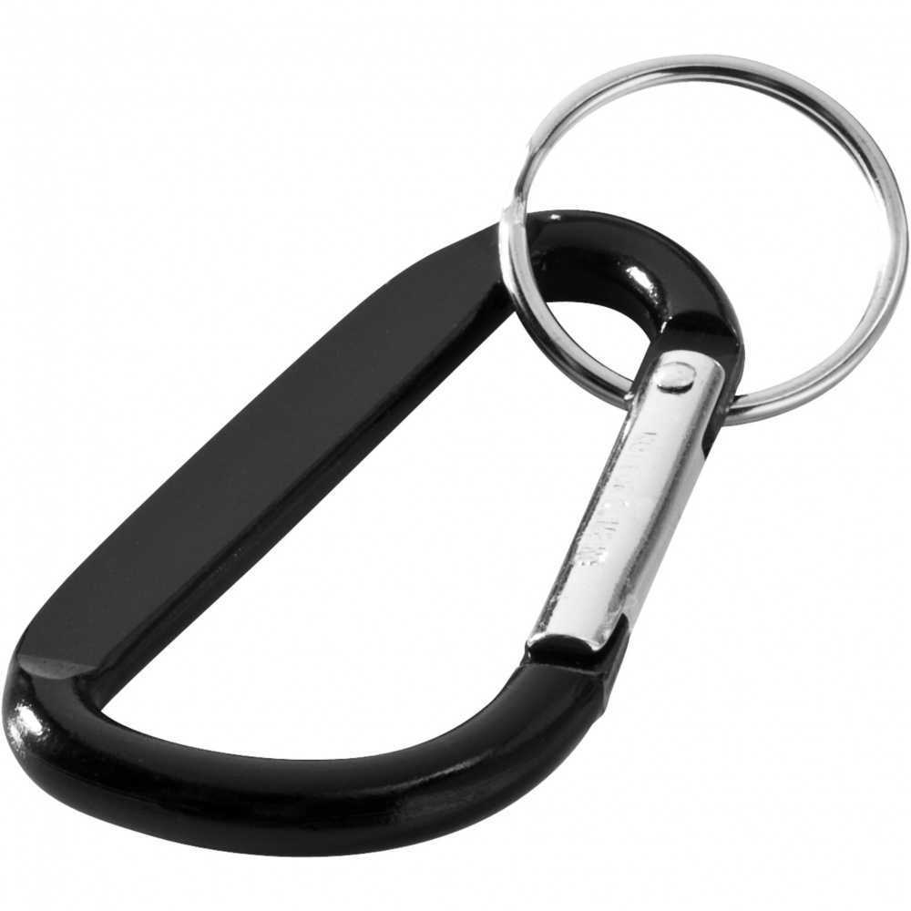 Logotrade promotional gifts photo of: Timor carabiner keychain