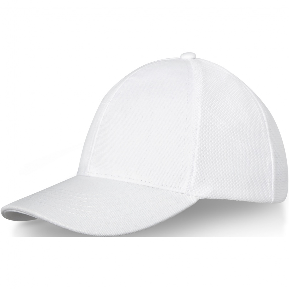Logo trade promotional item photo of: Drake 6 panel trucker cap