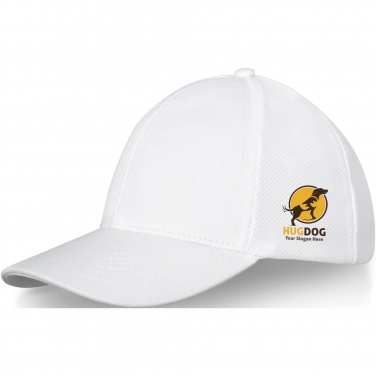 Logotrade advertising product picture of: Drake 6 panel trucker cap