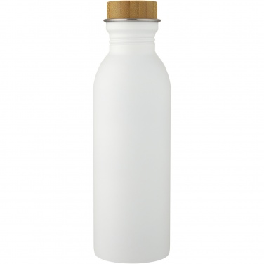 Logotrade promotional merchandise photo of: Kalix 650 ml stainless steel water bottle