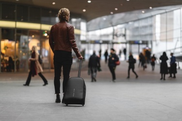 Logo trade promotional gifts picture of: Bobby backpack trolley