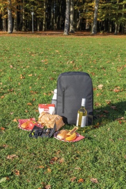 Logotrade promotional giveaways photo of: Tierra cooler backpack