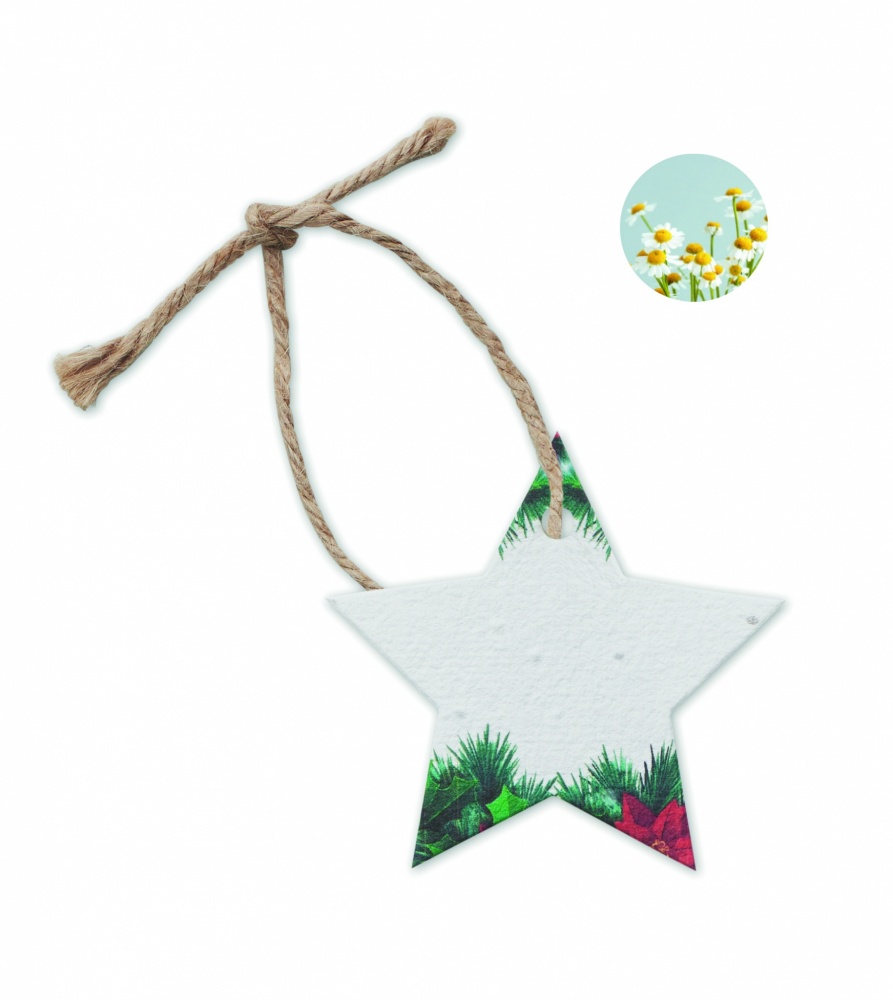 Logotrade promotional giveaway image of: Seed paper Xmas ornament