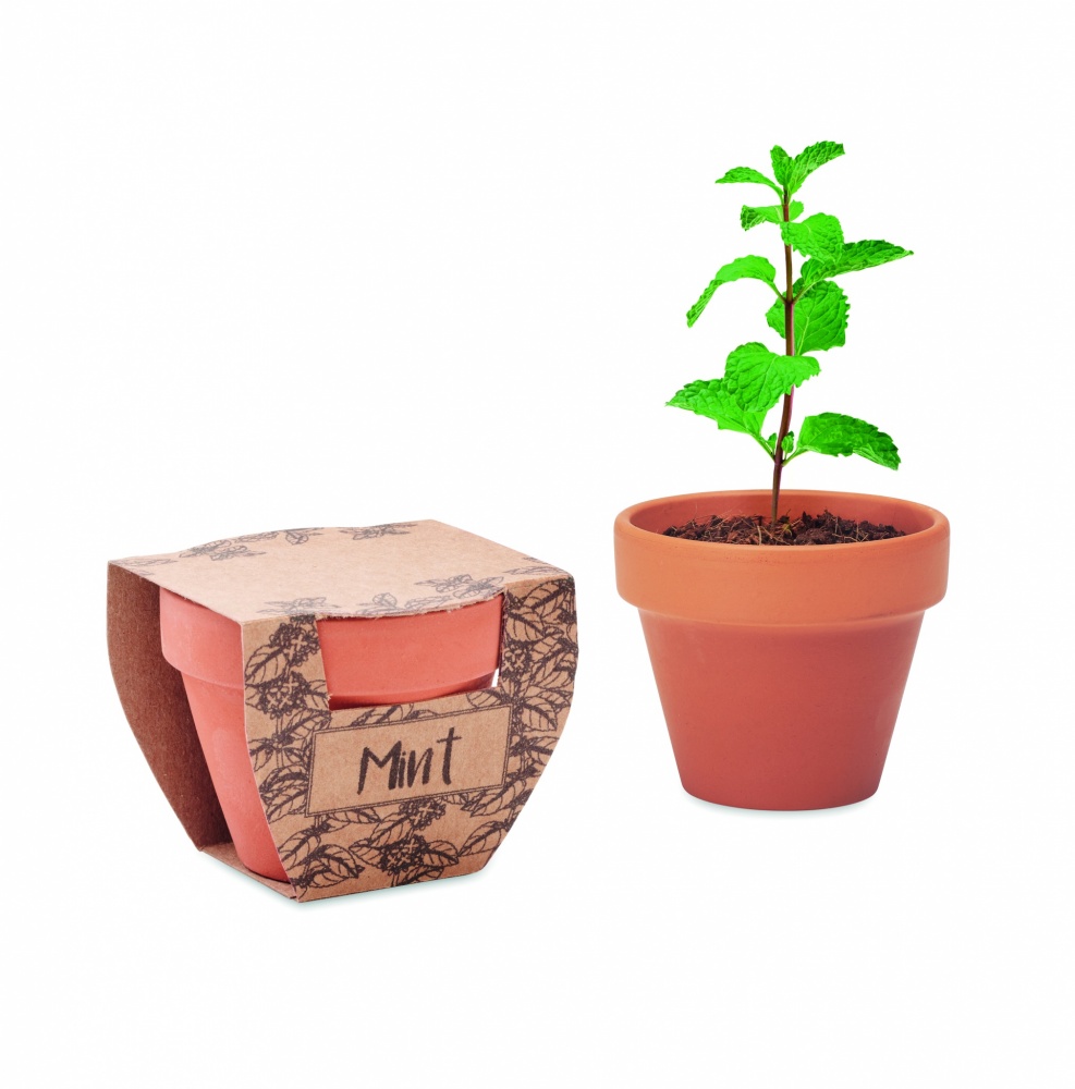 Logo trade promotional products image of: Terracotta pot mint seeds