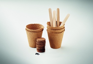 Logotrade corporate gift image of: Flowers growing kit