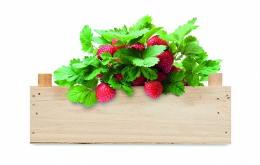 Logotrade promotional gift image of: Strawberry kit in wooden crate
