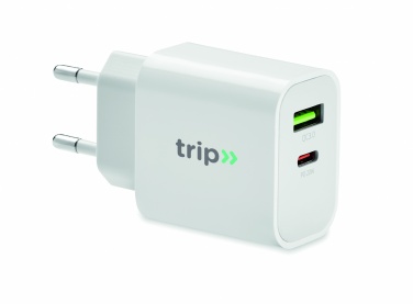 Logotrade promotional giveaway image of: 18W 2 port USB charger EU plug