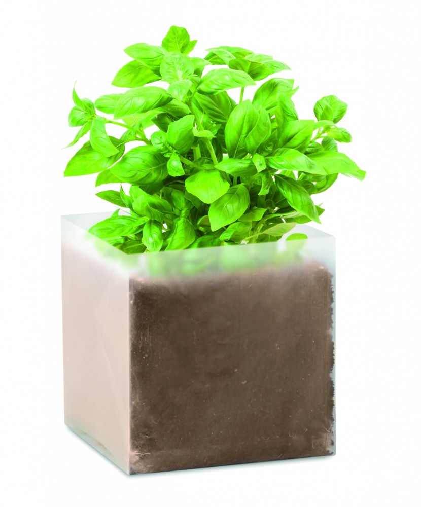Logotrade promotional merchandise image of: Compost with seeds "BASIL"