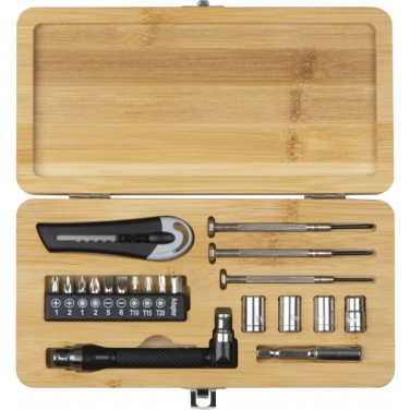 Logotrade promotional giveaway picture of: 22-piece tool set BERINGEN