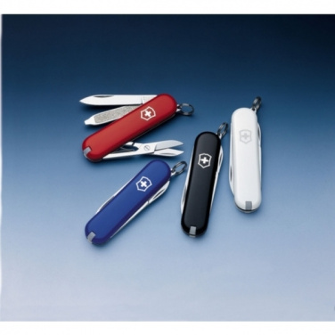 Logo trade corporate gift photo of: Pocket knife Rally Victorinox