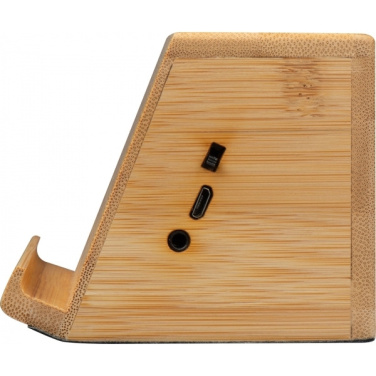 Logotrade promotional product image of: Induction loudspeaker NUREMBERG