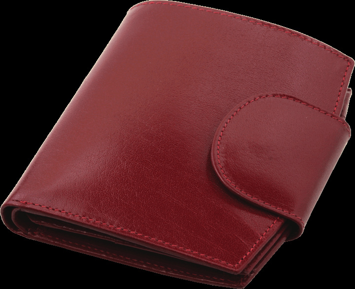 Logotrade promotional merchandise picture of: Wallet 31901300