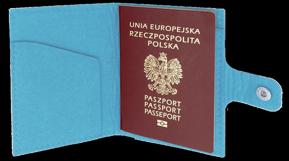 Logo trade promotional products picture of: Passport case 84106200