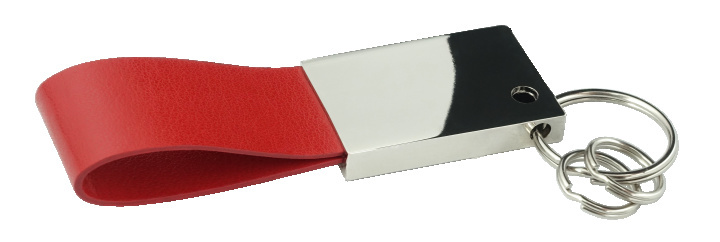 Logo trade promotional gifts image of: Keyring 909119