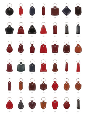 Logo trade promotional gift photo of: Keyring 178011