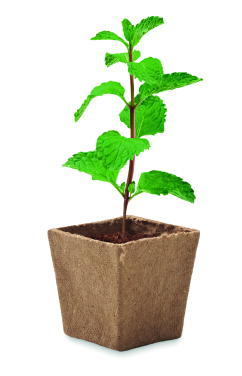 Logo trade business gift photo of: Mint seeds growing kit