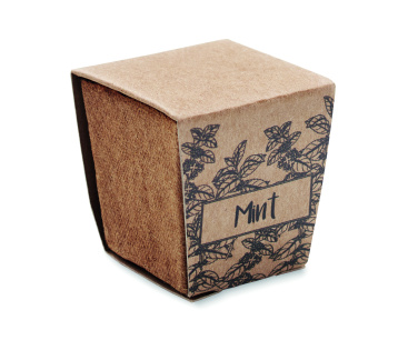 Logotrade corporate gift picture of: Mint seeds growing kit