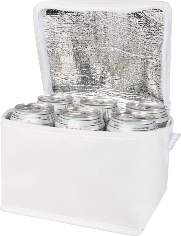 Logo trade corporate gifts image of: Spectrum 6-can recycled non-woven cooler bag 4L