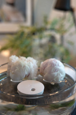 Logo trade promotional product photo of: Breevia RCS rplasic re-chargeable floating humidifier