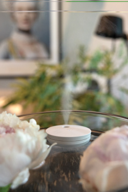 Logotrade promotional merchandise image of: Breevia RCS rplasic re-chargeable floating humidifier