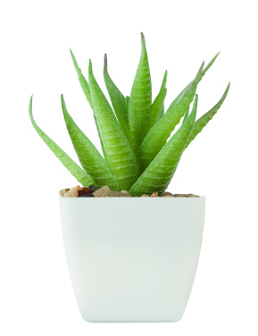 Logotrade corporate gift picture of: Mini artificial plant