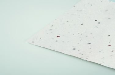 Logotrade advertising product image of: Wildflower seed business card.