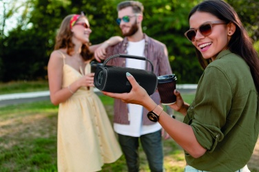 Logo trade ärikingid foto: 2x10 veekindel kõlar