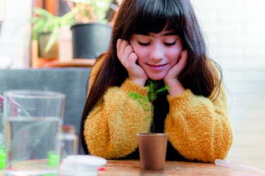 Logo trade firmakingituse pilt: Männipuu komplekt