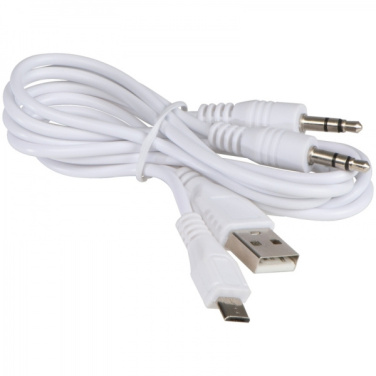 Logo trade firmakingituse pilt: Bluetooth kõlar MUSIC MAN