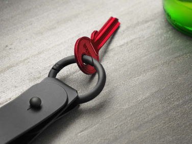 Logo trade reklaamkingi pilt: Võtmehoidja 1709094