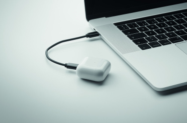 Logotrade firmakingi foto: CAWATT 4 in 1 kaabli pistikute komplekt 15W