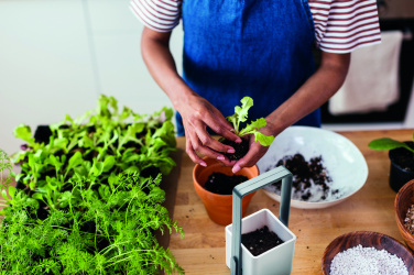 Logo trade firmakingi pilt: LED-valgustusega istutuspott LUSHLET