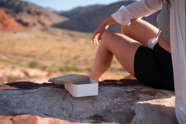 Logotrade reklaamkingitused pilt: RCS lõunakarp bambusest kaanega