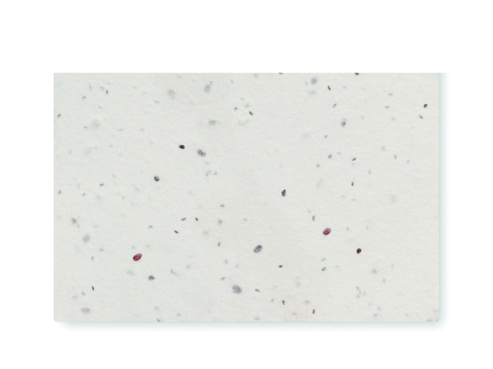 Logotrade firmakingitused pilt: ASIDA Seemnepaberist visiitkaart