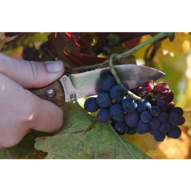 Logotrade liikelahjat mainoslahjat tuotekuva: Taskuveitsi JUNGLE Schwarzwolf