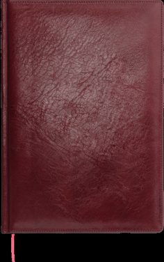 Logotrade mainoslahja tuotekuva: Kalenteri 645131