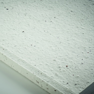 Logotrade reklaminės dovanos nuotrauka: A5 dydžio popierinio viršelio sąsiuvinis